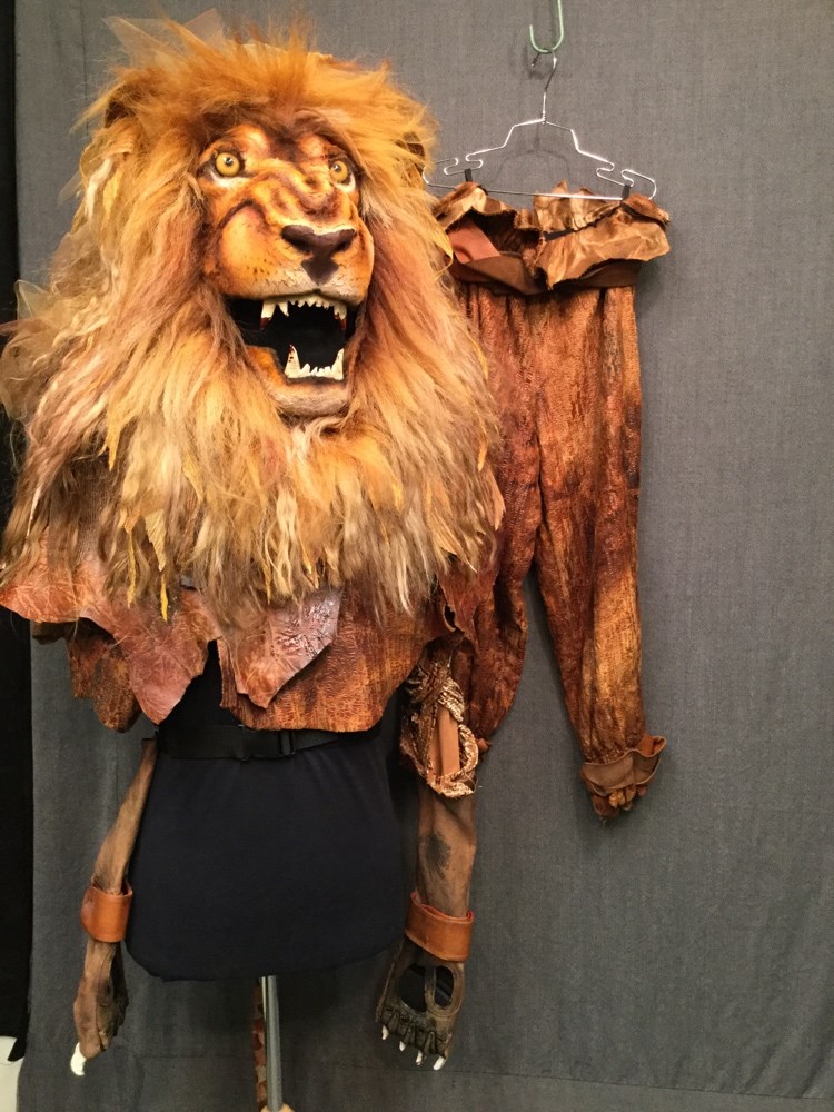 fantasy, animal, fantasy, head, unisex, golden, brown, lion, head, with